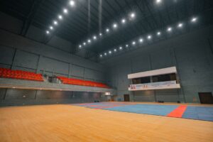 ウルフアロン完全ガイド｜東京五輪金メダリストからプロレスラーへ転身した異色のアスリートの魅力に迫る
