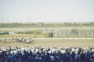東京競馬場（府中）完全ガイド｜競馬初心者でも楽しめる観戦・グルメ・アクセスの全知識